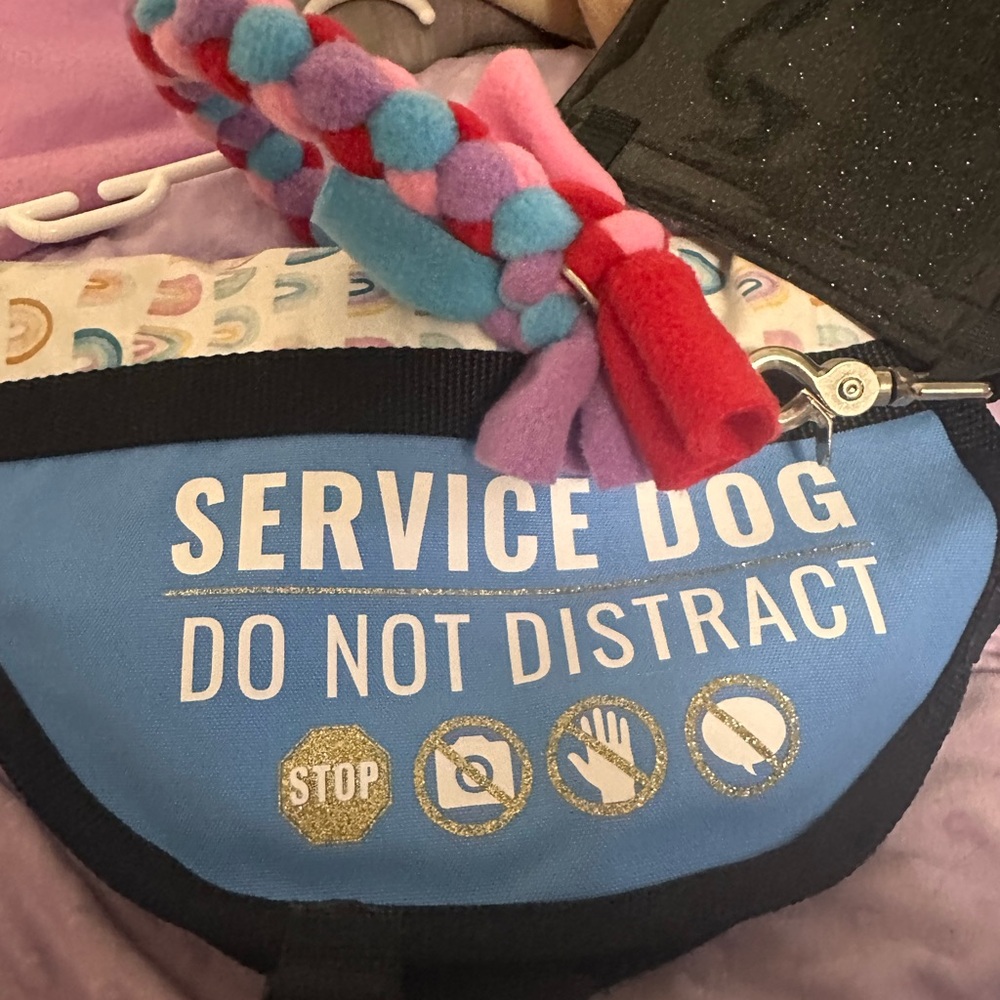 Blue Service Dog Vest with Red and Blue Rope pull and medical alert bag.